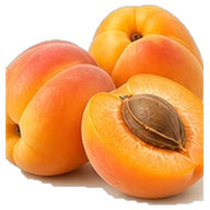 Apricots
