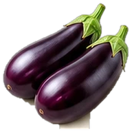Eggplants (aubergines)