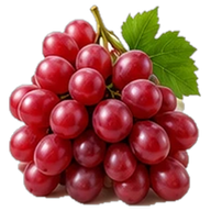 Table grapes
