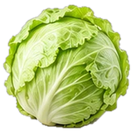 Lettuce & leafy greens