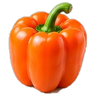 Bell peppers (capsicum)